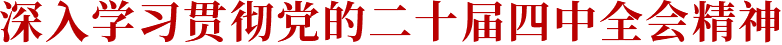 深入学习贯彻党的二十届四中全会精神