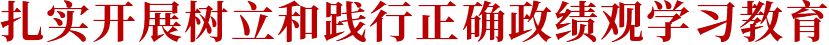 扎实开展树立和践行正确政绩观学习教育